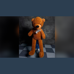 Teddy Bear Appearance (Extra Large) by MS Magic