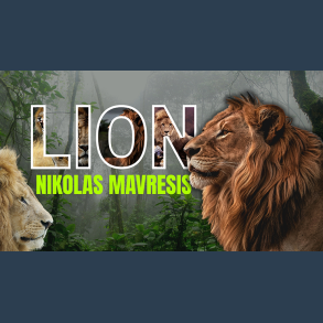 Lion by Nikolas Mavresis video DOWNLOAD