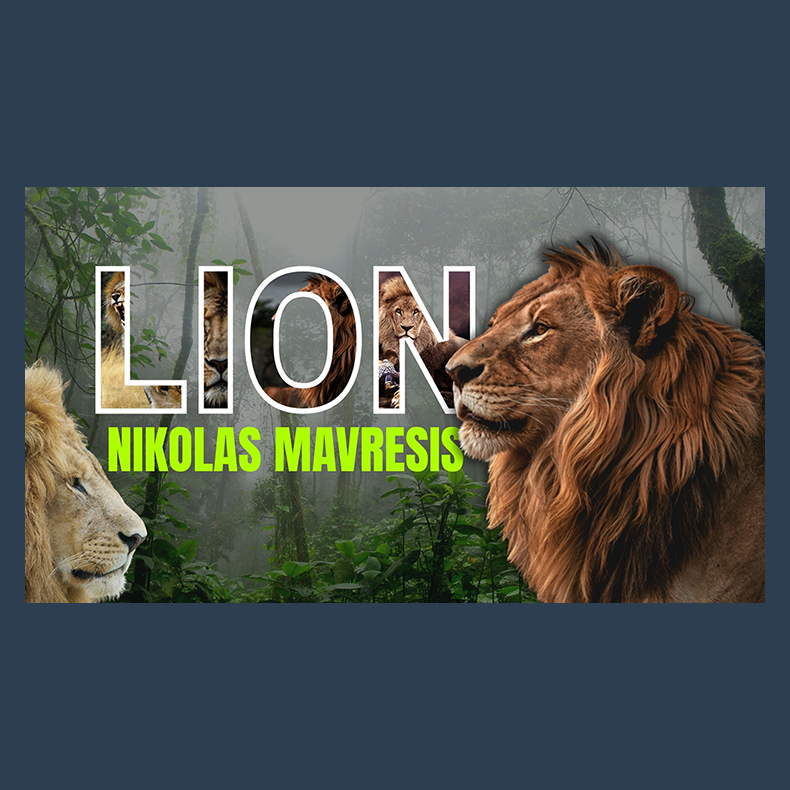 Lion by Nikolas Mavresis video DOWNLOAD