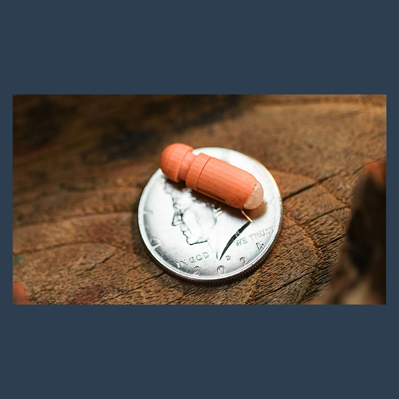 Capsule by Million &amp; Egg &amp; TCC Magic