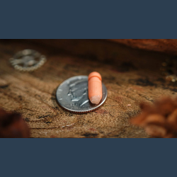 Capsule by Million &amp; Egg &amp; TCC Magic