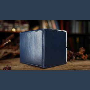 The Revelation Box by Wenyu Liu, Luca Volpe, Paul McCaig, Alan Wong & TCC Magic