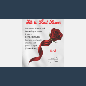 Silk to Real Flower (Red) by Juan Pablo