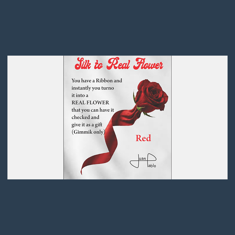 Silk to Real Flower (Red) by Juan Pablo