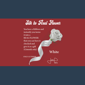 Silk to Real Flower (White) by Juan Pablo