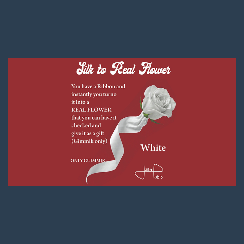 Silk to Real Flower (White) by Juan Pablo