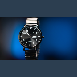 Standard R.W.W. Right Hand (Ben Seidman's Ring Watch Wonder)