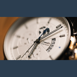 Standard R.W.W. Left Hand (Ben Seidman's Ring Watch Wonder)