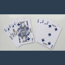 Georgia Southern Playing Cards