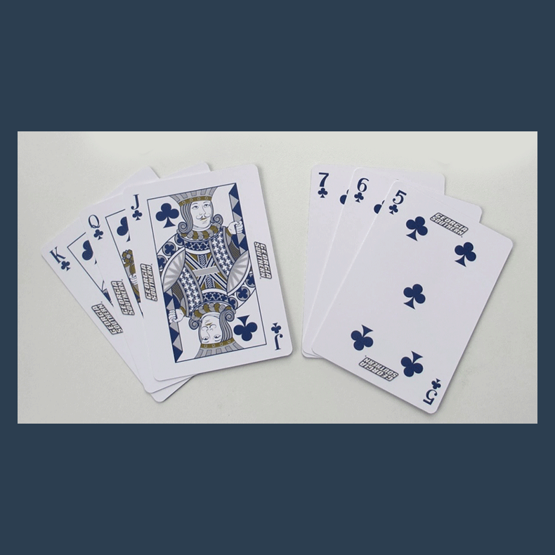 Georgia Southern Playing Cards