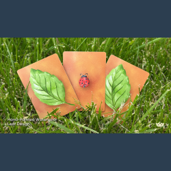 Lucky Ladybug (Leaf) by Joshua Ray &amp; Deuce Gala Magic