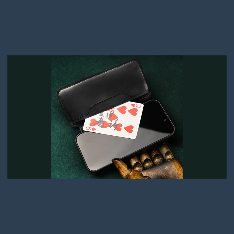 Daily Case by Joshua Kaufmann (Standard)