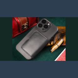 Daily Case by Joshua Kaufmann (Standard)