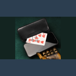 Daily Case by Joshua Kaufmann (Max)