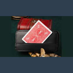 Daily Case by Joshua Kaufmann (Max)