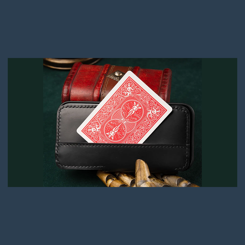 Daily Case by Joshua Kaufmann (Max)
