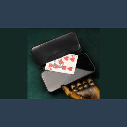 Daily Case by Joshua Kaufmann (Max)