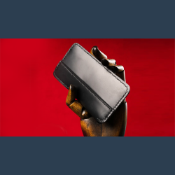 Daily Case by Joshua Kaufmann (Max)