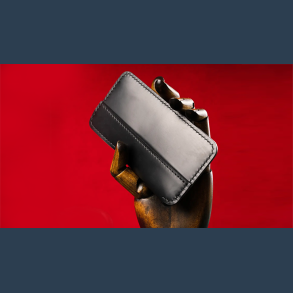 Daily Case by Joshua Kaufmann (Max)