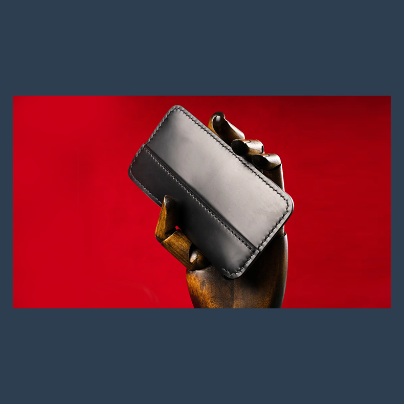 Daily Case by Joshua Kaufmann (Max)