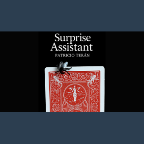 Surprise Assistant by Patricio Teran video DOWNLOAD