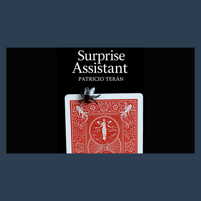 Surprise Assistant by Patricio Teran video DOWNLOAD
