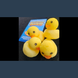 Super Spongy Duckies (4)