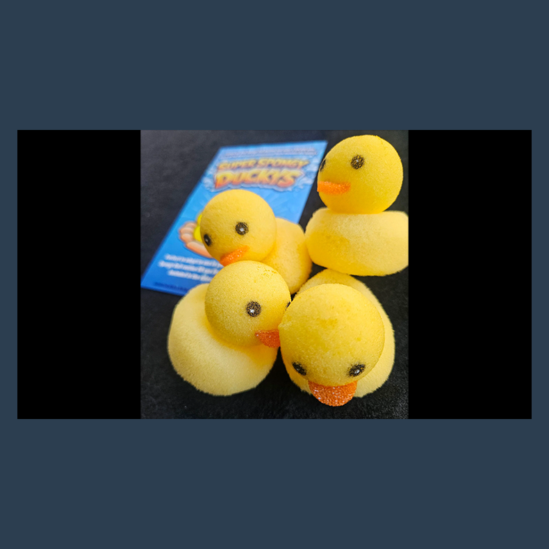 Super Spongy Duckies (4)
