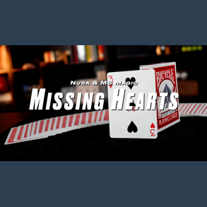 Missing Hearts by Nusa