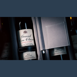 Miracle Wine Bottles Carrying Bag by TCC