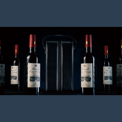 Miracle Wine Bottles Carrying Bag by TCC