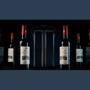 Miracle Wine Bottles Carrying Bag by TCC