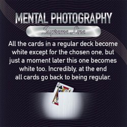 Bicycle - Mental Photography (Red) Supreme Line