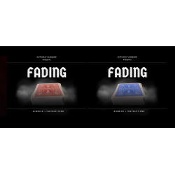  Fading by Anthony Vasquez