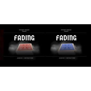  Fading by Anthony Vasquez