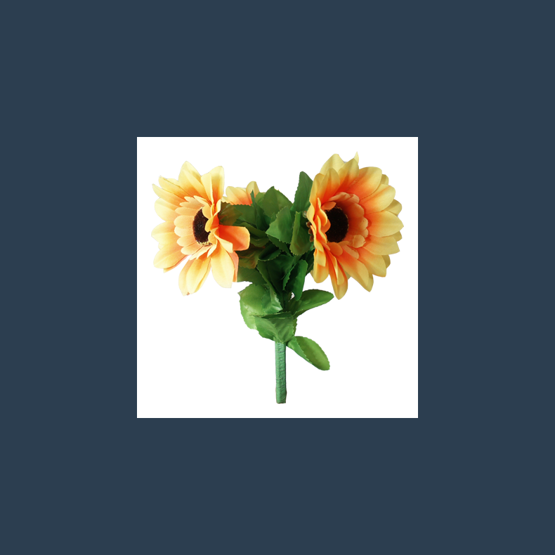 Amazing Split Sunflower by Premium Magic
