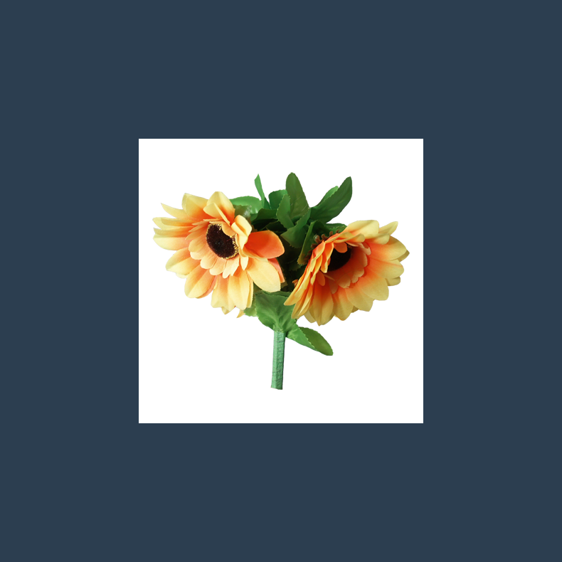 Amazing Split Sunflower by Premium Magic