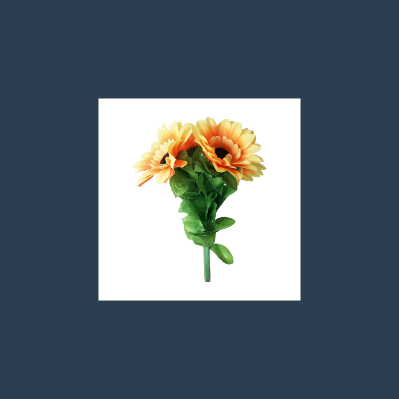 Amazing Split Sunflower by Premium Magic