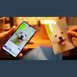 AnyWeb by Magic Pro Ideas