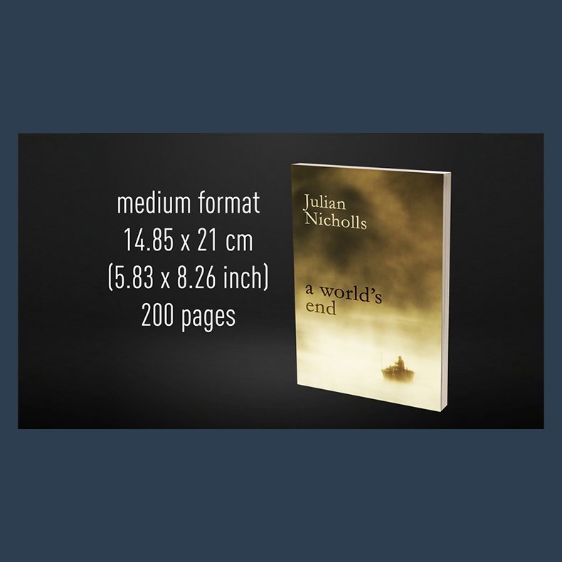 Babel Book Test 6 by Vincent Hedan (A World's End), medium, 200 pages