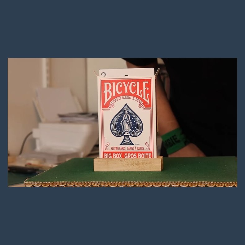 BEST EVER JUMBO RISING CARDS by Martin Schwartz