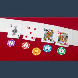 Bets in Show by John Guastaferro