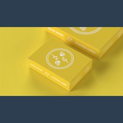 Black Roses Sunny Days Mini Playing Cards
