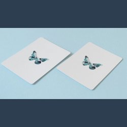 Butterfly Try-All V2 Playing Cards