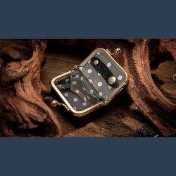 Coin Bag by TCC Magic