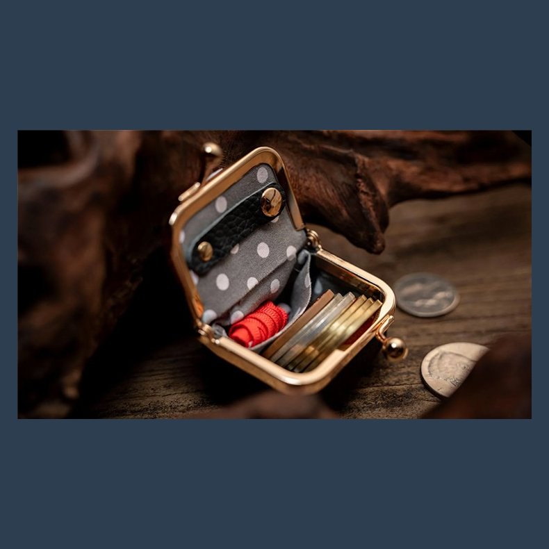 Coin Bag by TCC Magic