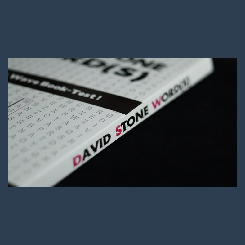 David Stone's Words (English Version)
