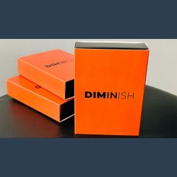 Diminish by Damian Surr