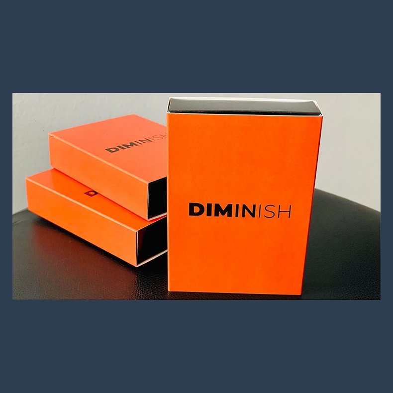 Diminish by Damian Surr