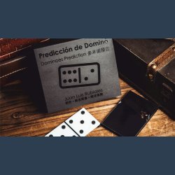 Dominoes Prediction by Juan Luis Rubiales